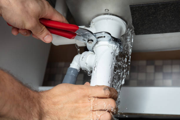 Best Flooded house restoration  in Mountain Village, CO