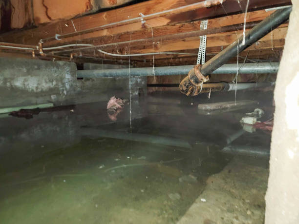Mountain Village, CO Water damage restoration Company