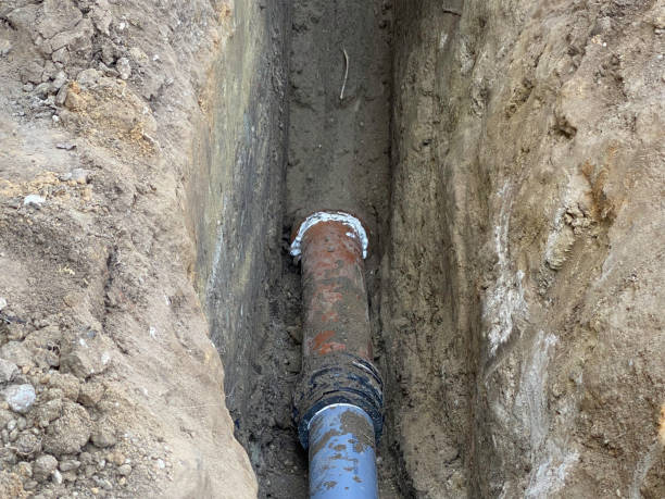 Best Flood damage cleanup  in Mountain Village, CO