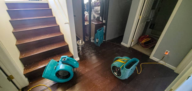 Best Ceiling water damage repair  in Mountain Village, CO