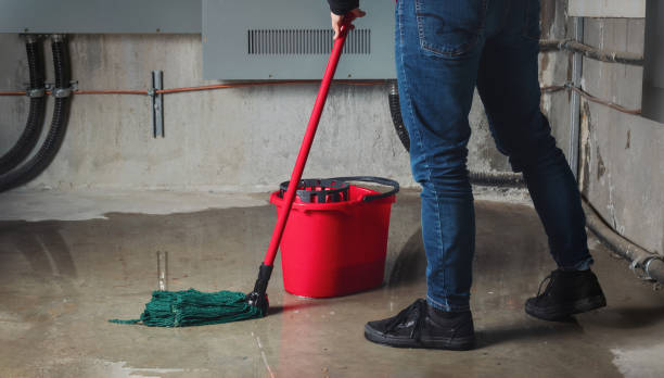 Best 24/7 water damage repair  in Mountain Village, CO