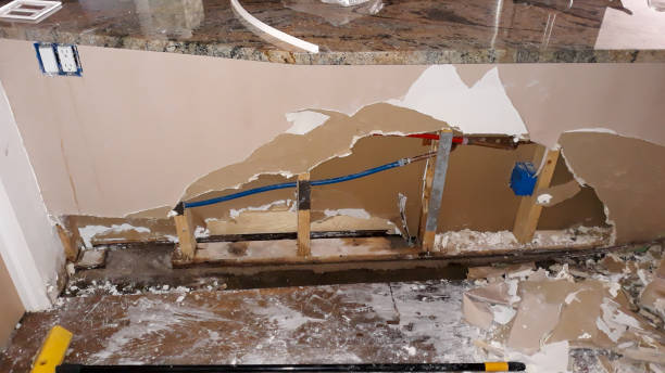 Best Local water damage restoration  in Mountain Village, CO