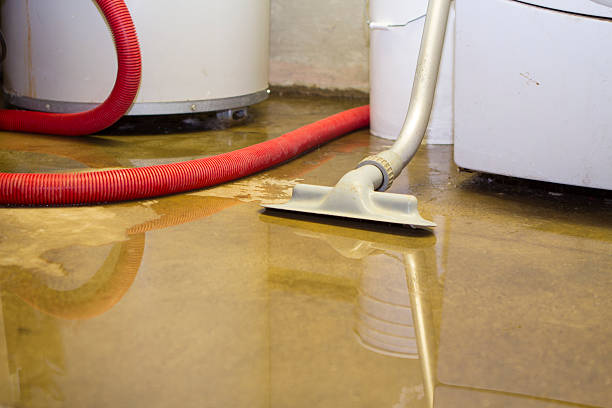 Best Water damage restoration near me  in Mountain Village, CO