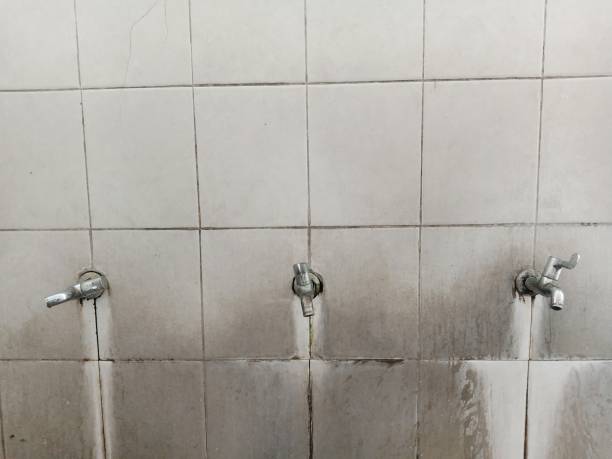 Best Flood restoration services  in Mountain Village, CO