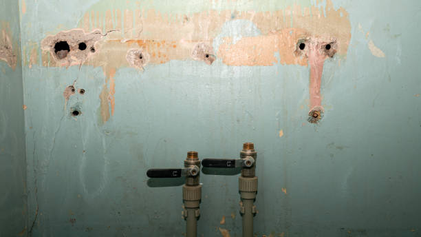  Mountain Village, CO Water damage restoration Pros