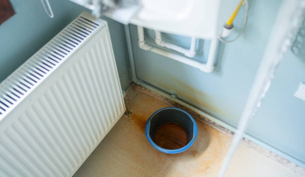 Best Fire Damage Restoration  in Mountain Village, CO