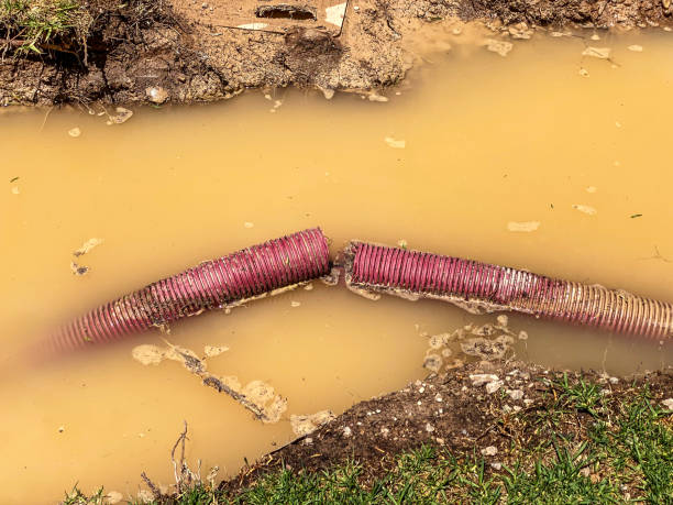 Best Residential water damage restoration  in Mountain Village, CO