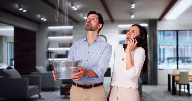 Best Water damage restoration insurance claims  in Mountain Village, CO