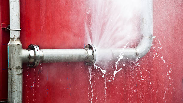 Best Flooded house restoration  in Mountain Village, CO